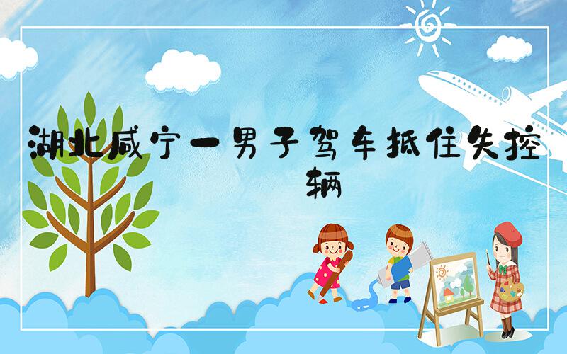 湖北咸宁一男子驾车抵住失控车辆
