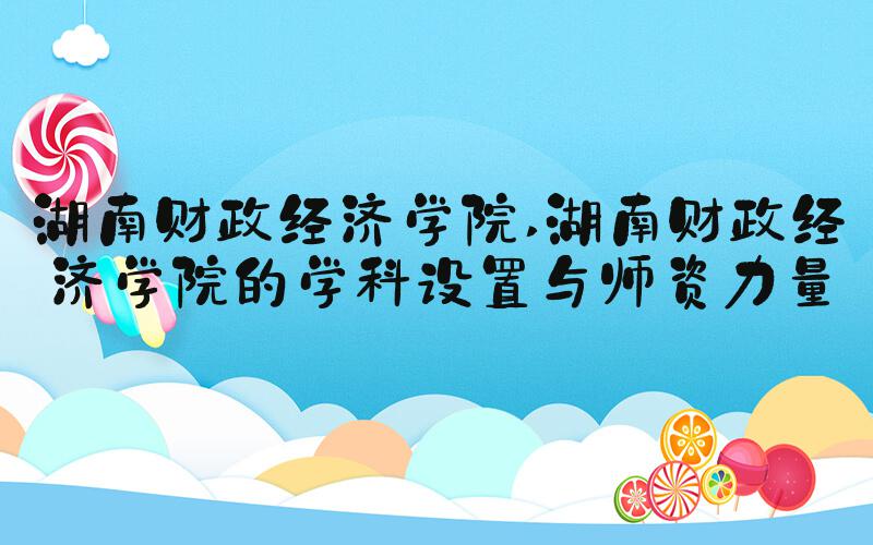 湖南财政经济学院 湖南财政经济学院的学科设置与师资力量