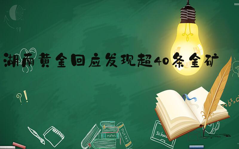 湖南黄金回应发现超40条金矿脉