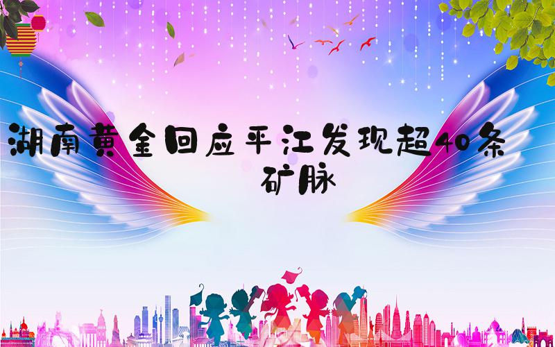 湖南黄金回应平江发现超40条金矿脉