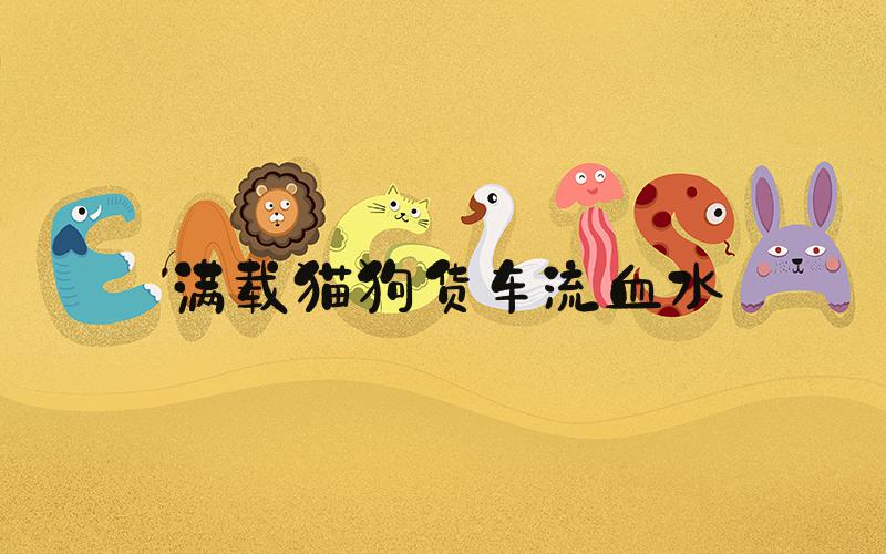 满载猫狗货车流血水