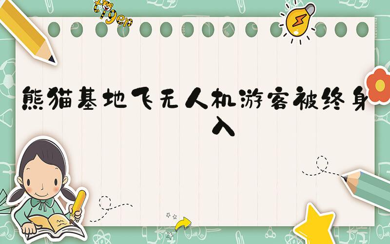 熊猫基地飞无人机游客被终身禁入