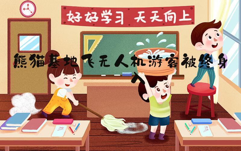 熊猫基地飞无人机游客被终身禁入