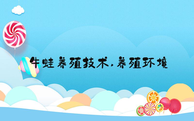 牛蛙养殖技术 养殖环境