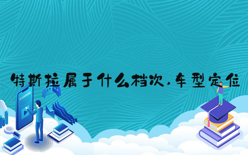 特斯拉属于什么档次 车型定位