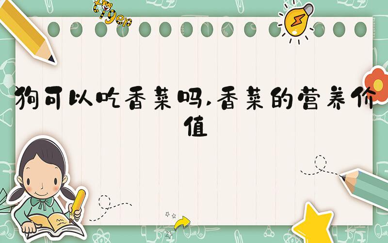 狗可以吃香菜吗 香菜的营养价值