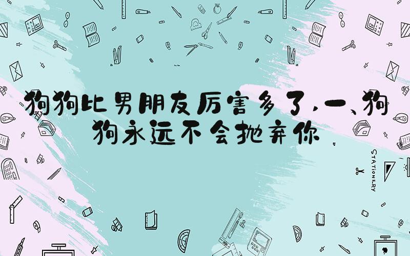 狗狗比男朋友厉害多了 一、狗狗永远不会抛弃你