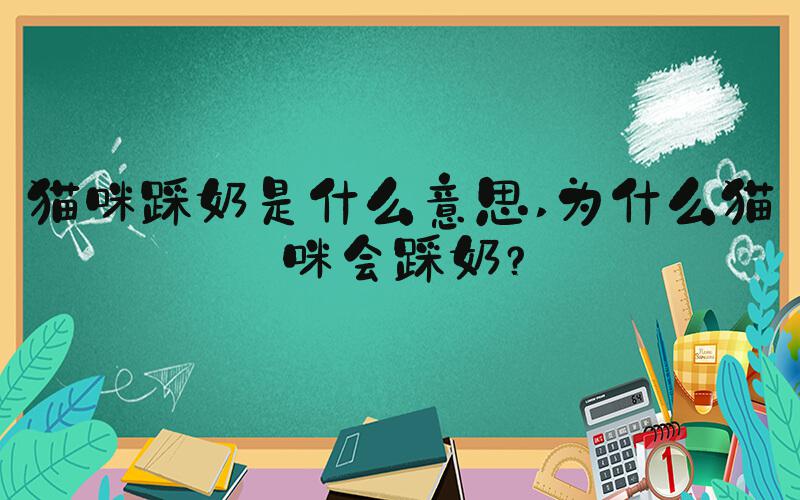 猫咪踩奶是什么意思 为什么猫咪会踩奶？