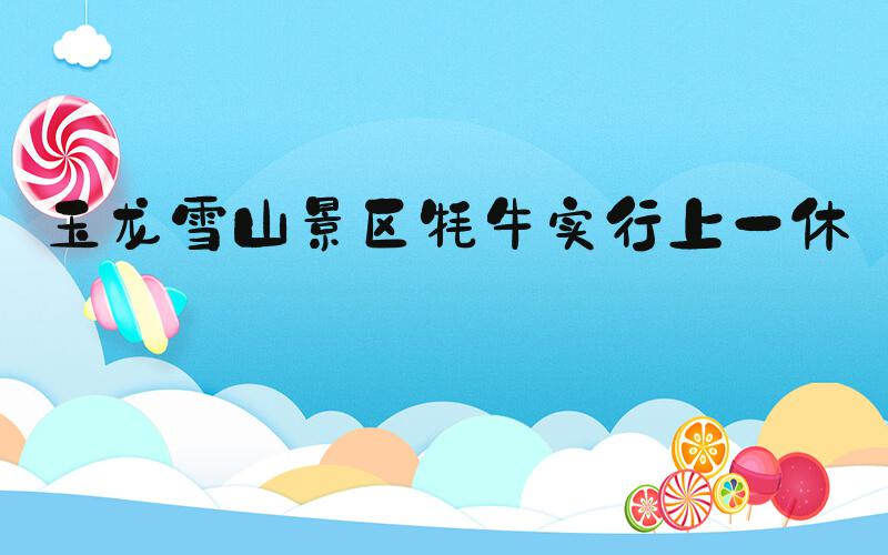 玉龙雪山景区牦牛实行上一休一