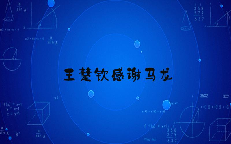 王楚钦感谢马龙