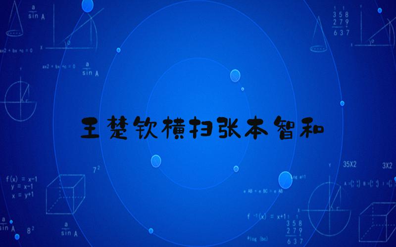 王楚钦横扫张本智和
