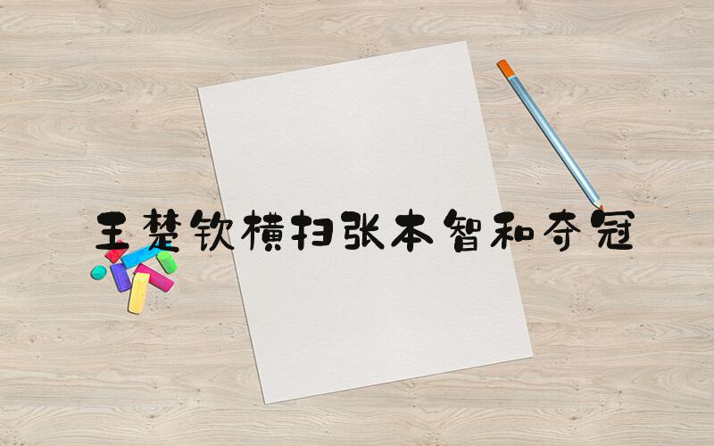 王楚钦横扫张本智和夺冠