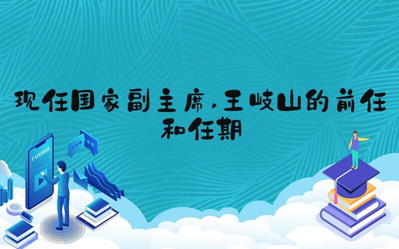 现任国家副主席 王岐山的前任和任期