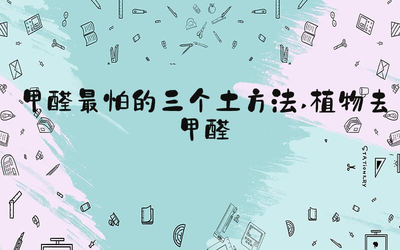 甲醛最怕的三个土方法 植物去甲醛