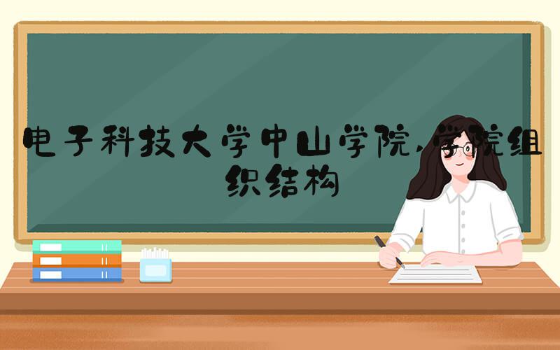 电子科技大学中山学院 学院组织结构