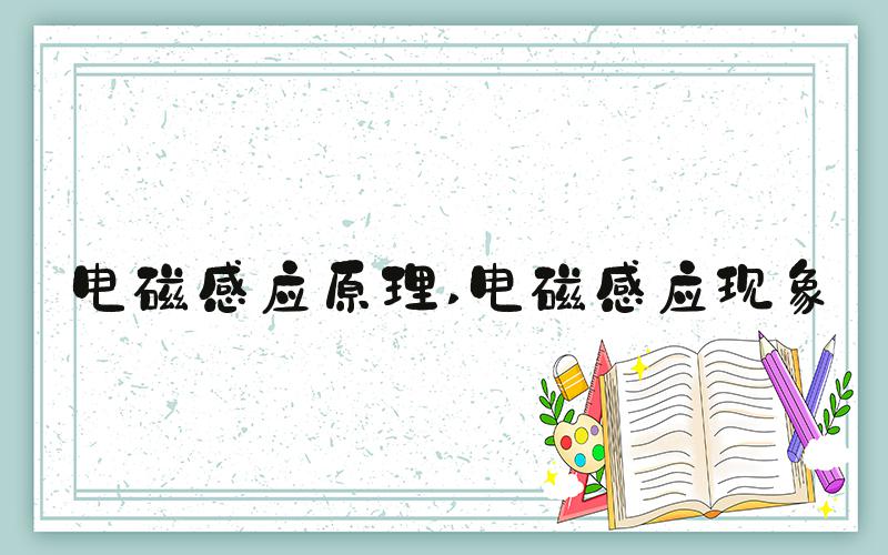 电磁感应原理 电磁感应现象