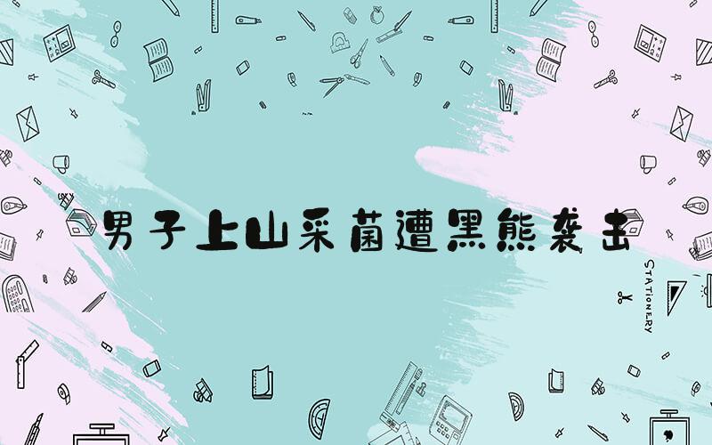 男子上山采菌遭黑熊袭击