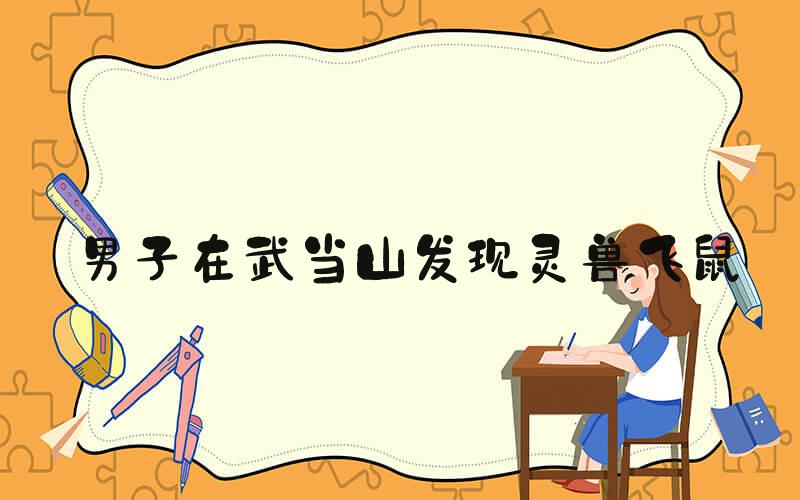 男子在武当山发现灵兽飞鼠