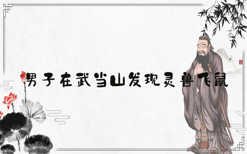 男子在武当山发现灵兽飞鼠