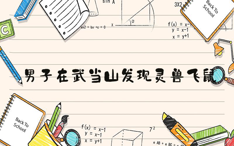 男子在武当山发现灵兽飞鼠
