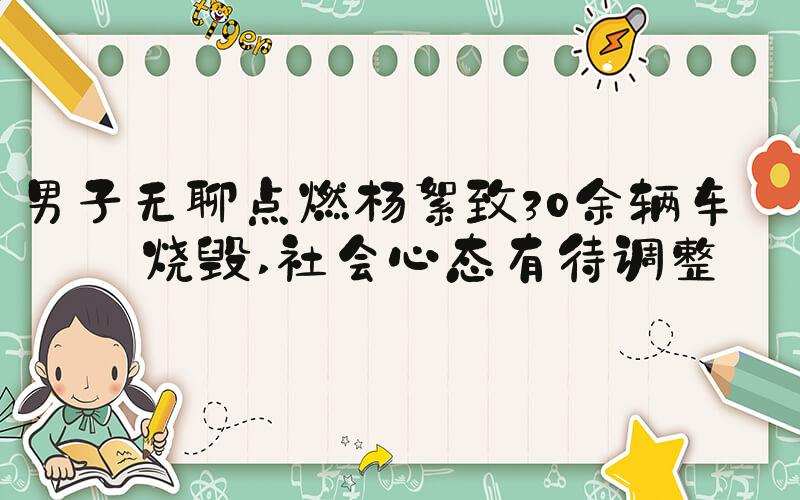 男子无聊点燃杨絮致30余辆车被烧毁 社会心态有待调整