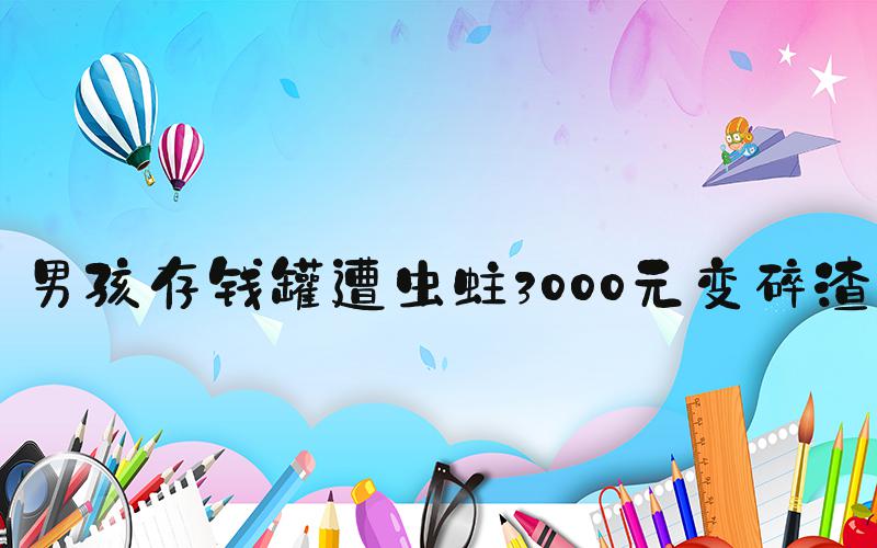 男孩存钱罐遭虫蛀3000元变碎渣