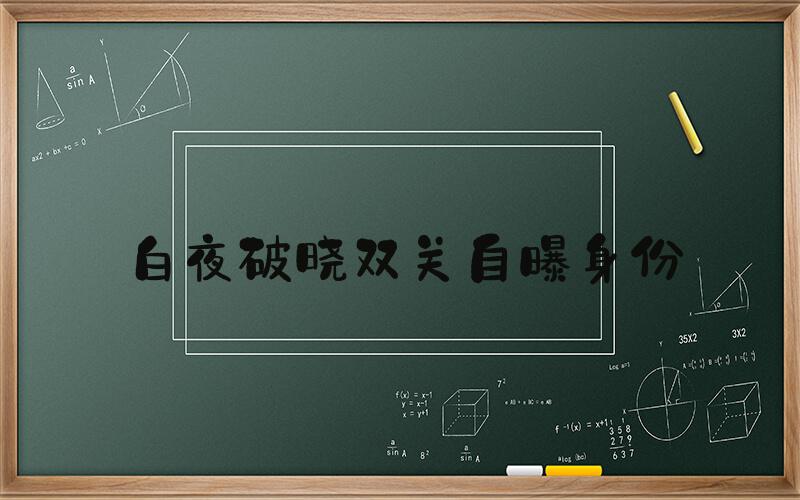 白夜破晓双关自曝身份