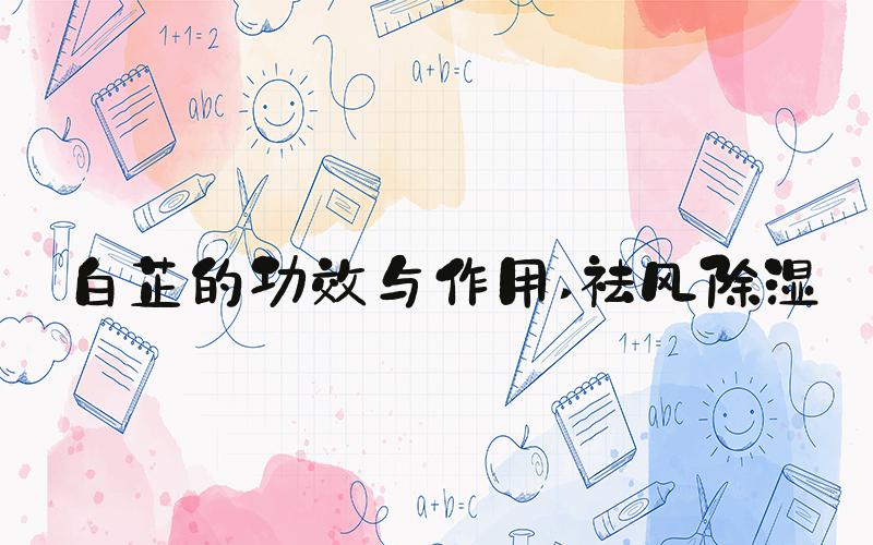 白芷的功效与作用 祛风除湿