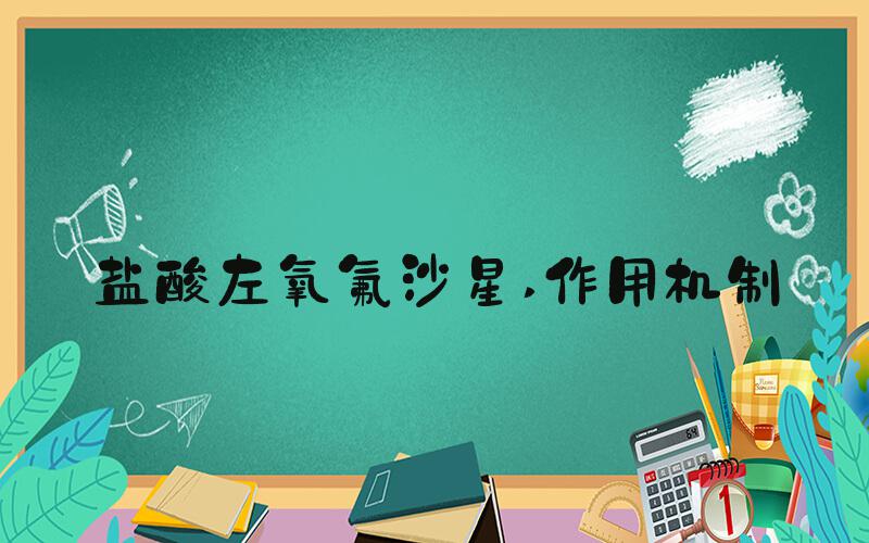 盐酸左氧氟沙星 作用机制