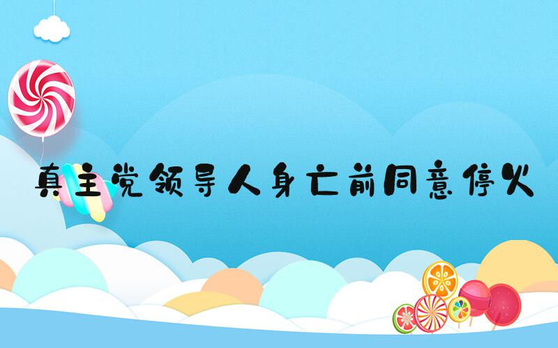 真主党领导人身亡前同意停火