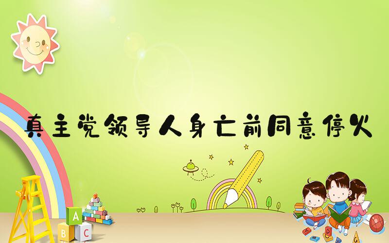 真主党领导人身亡前同意停火