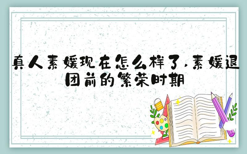 真人素媛现在怎么样了 素媛退团前的繁荣时期