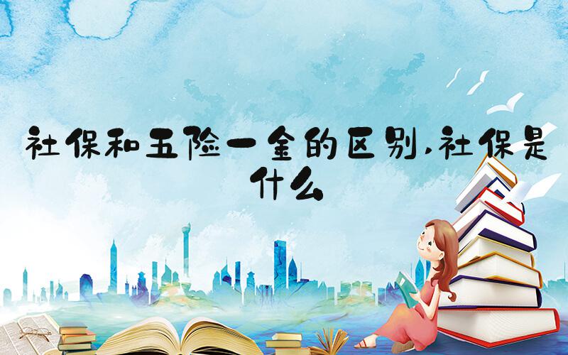 社保和五险一金的区别 社保是什么
