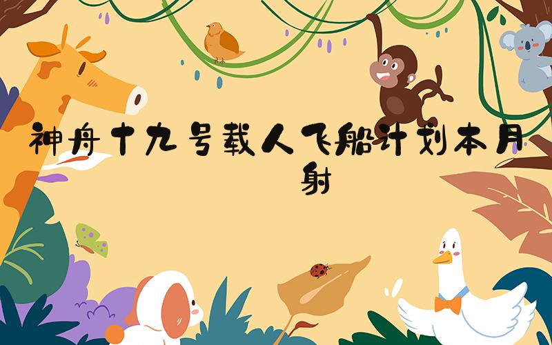 神舟十九号载人飞船计划本月发射