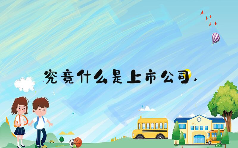 究竟什么是上市公司 