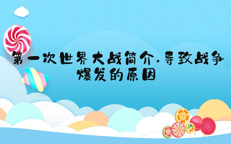 第一次世界大战简介 导致战争爆发的原因