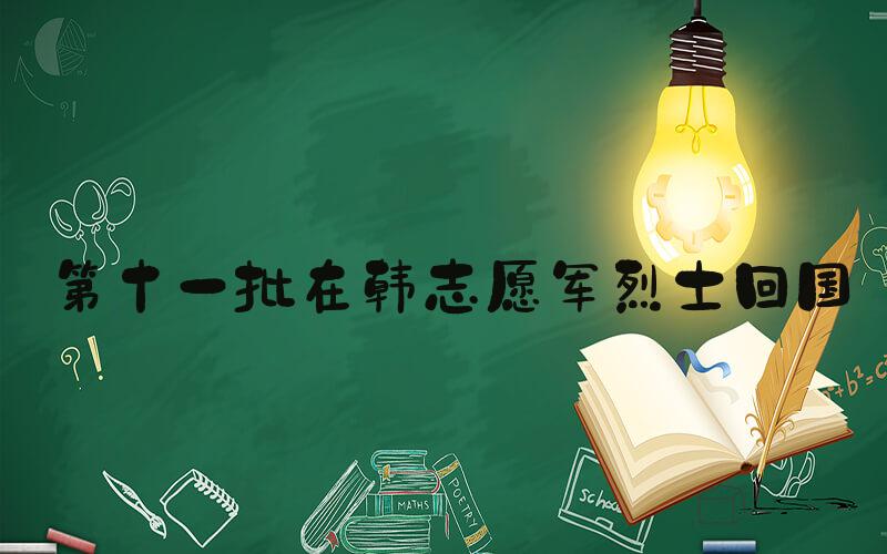 #第十一批在韩志愿军烈士回国#