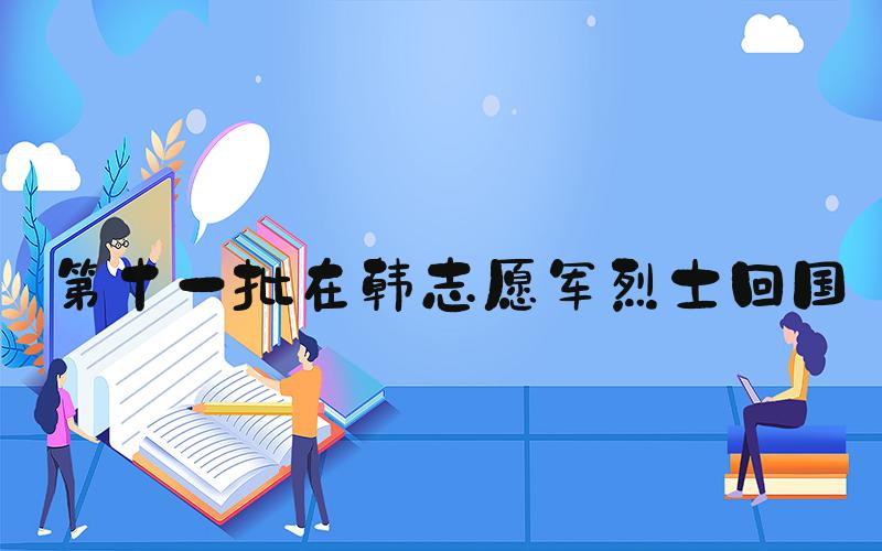 #第十一批在韩志愿军烈士回国#