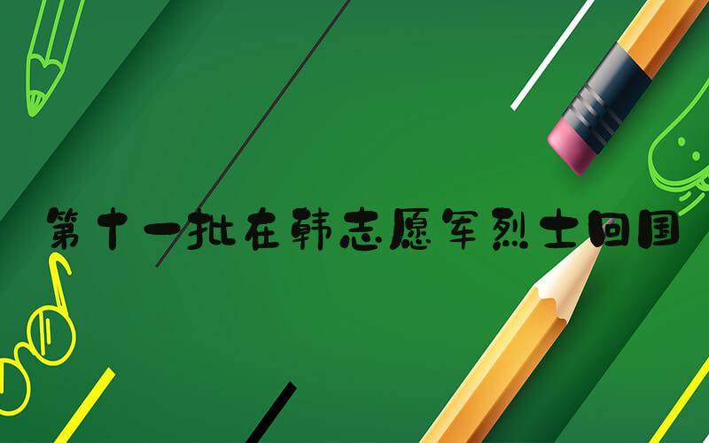 #第十一批在韩志愿军烈士回国#