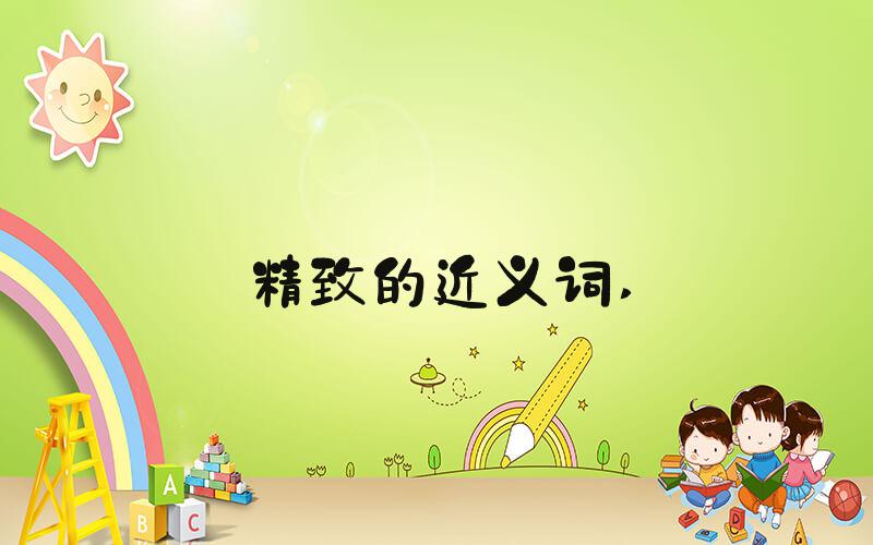 精致的近义词 