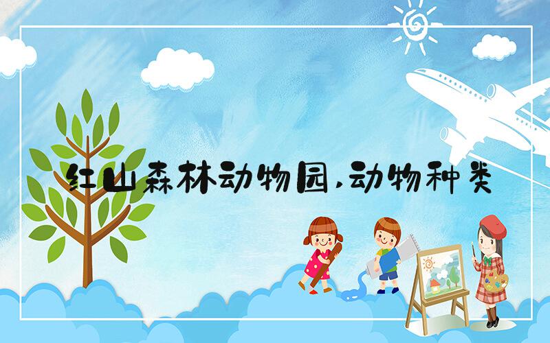 红山森林动物园 动物种类