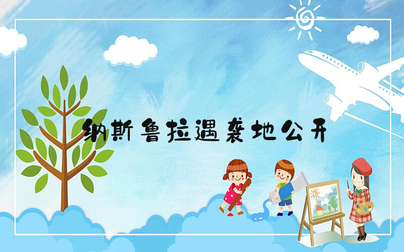 纳斯鲁拉遇袭地公开