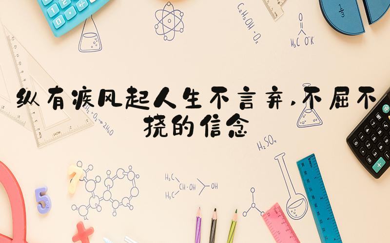 纵有疾风起人生不言弃 不屈不挠的信念
