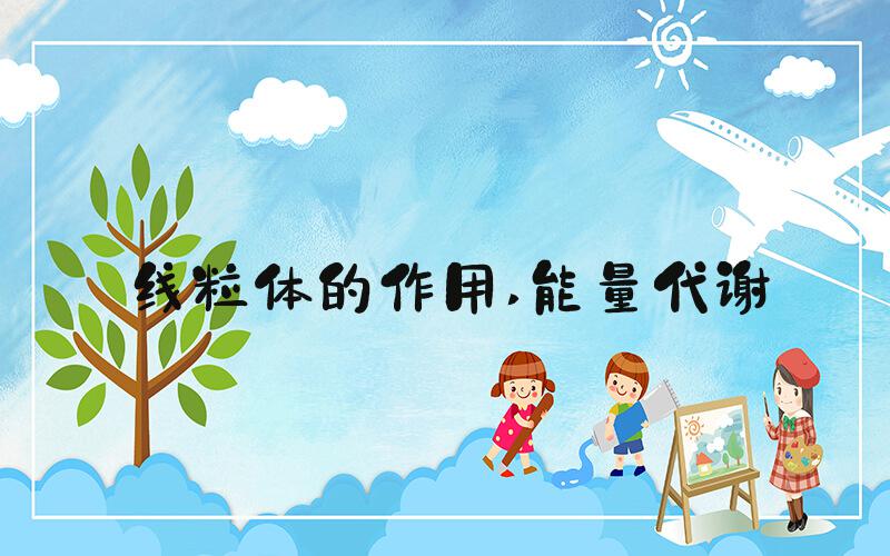 线粒体的作用 能量代谢