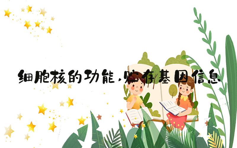 细胞核的功能 贮存基因信息