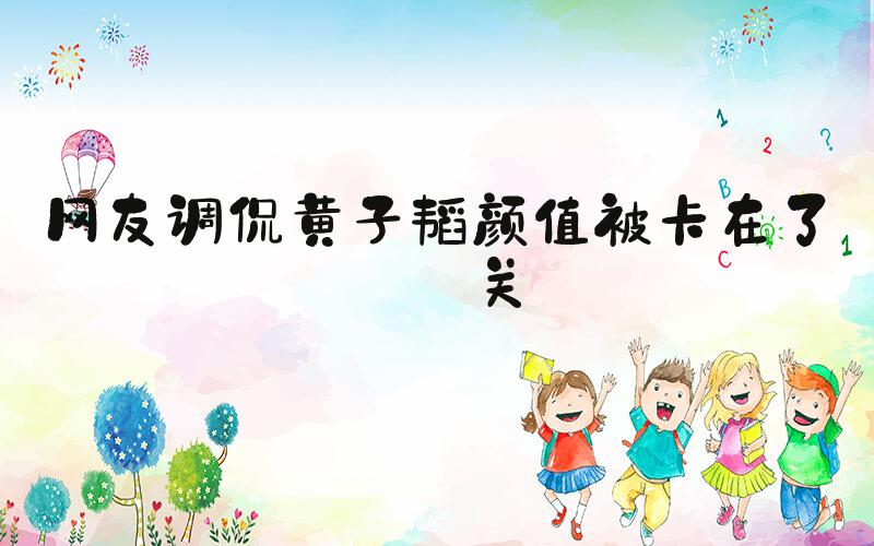 网友调侃黄子韬颜值被卡在了海关