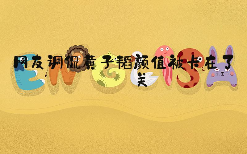 网友调侃黄子韬颜值被卡在了海关