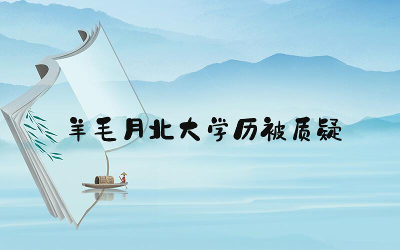 羊毛月北大学历被质疑