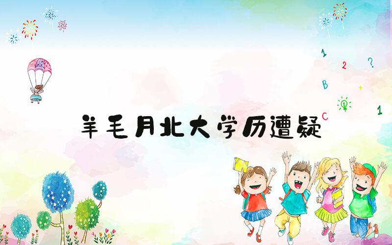 羊毛月北大学历遭疑
