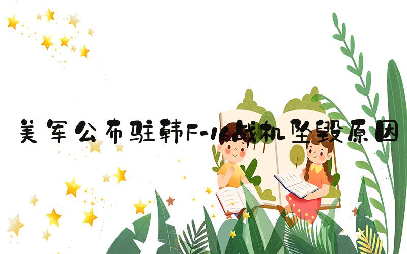 美军公布驻韩F-16战机坠毁原因